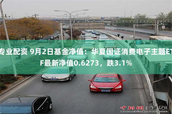 专业配资 9月2日基金净值：华夏国证消费电子主题ETF最新净值0.6273，跌3.1%