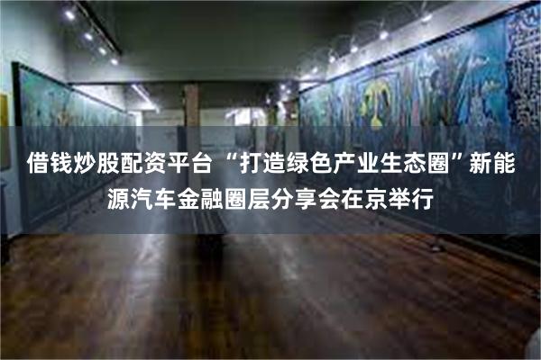 借钱炒股配资平台 “打造绿色产业生态圈”新能源汽车金融圈层分享会在京举行