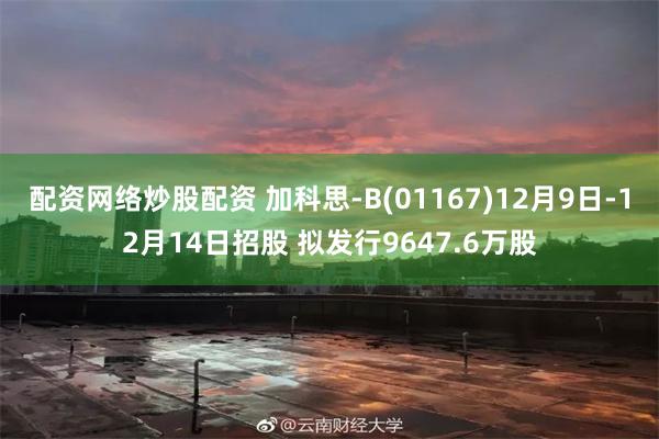 配资网络炒股配资 加科思-B(01167)12月9日-12月14日招股 拟发行9647.6万股